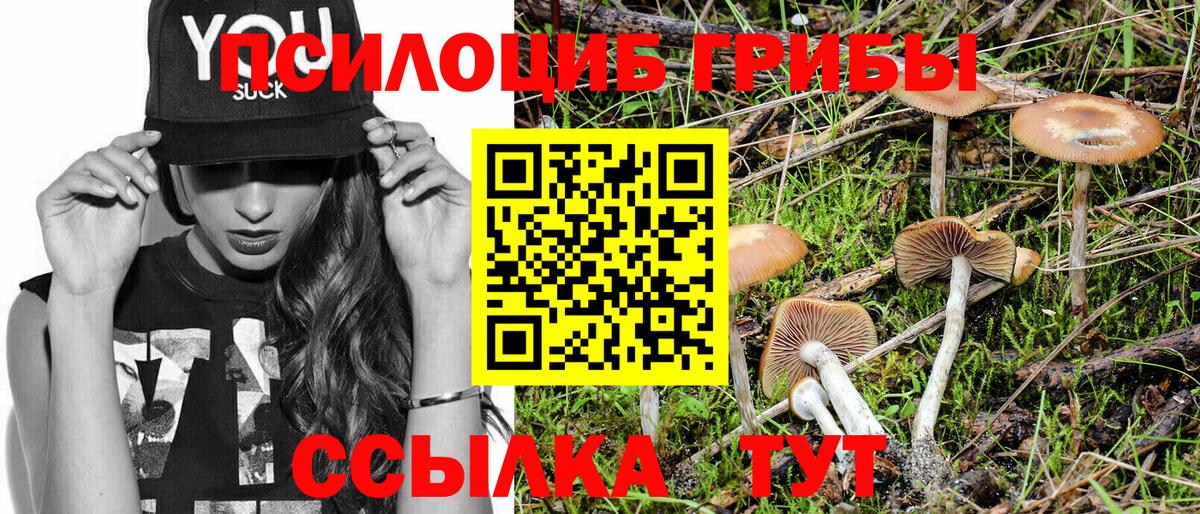 Галлюциногенные грибы Psilocybe  Вход с VPN  Заречный 