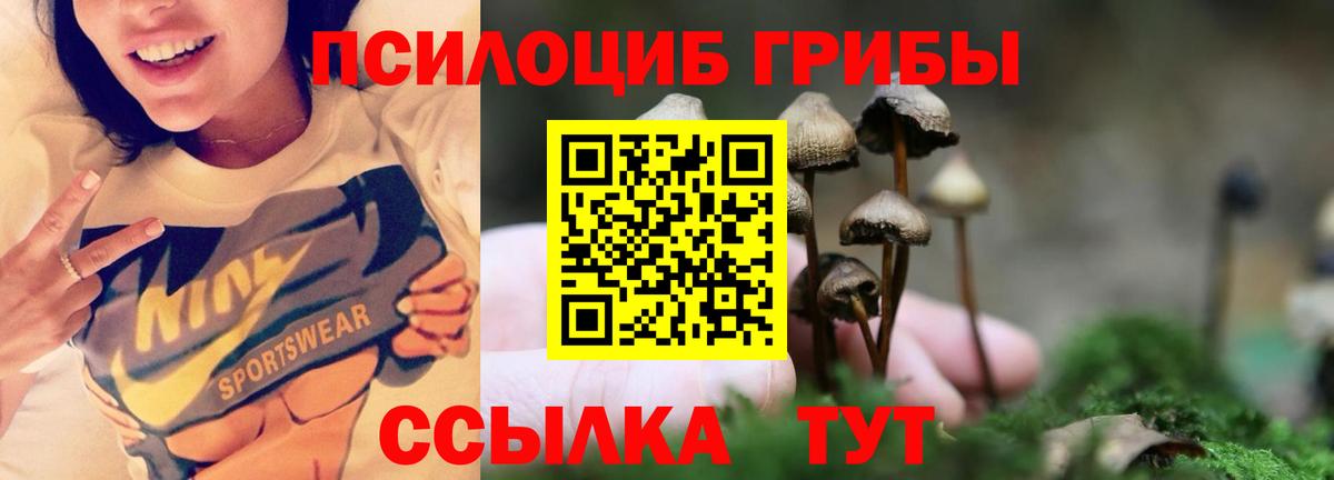 Псилоцибиновые грибы MAGIC MUSHROOMS Заречный